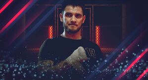 TOP lupte MMA și UFC în noiembrie 2023
